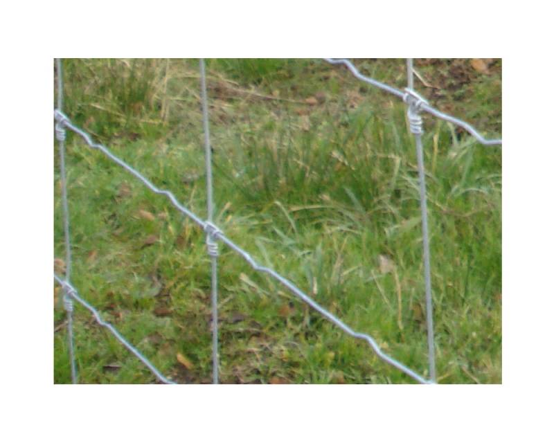 Exemple de modèle de grillage haute résistance galvanisé pour parc de chasse à Beaune dans le 21